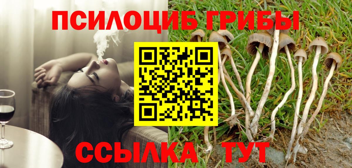 Галлюциногенные грибы мицелий Чайковский