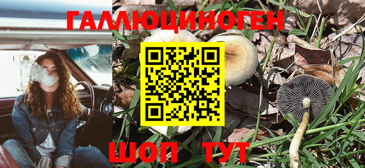 Галлюциногенные грибы Magic Shrooms  Вход с VPN  Чайковский 